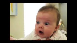 Babies Scared of Farts Compilation 2017 [upl. by Reinar]