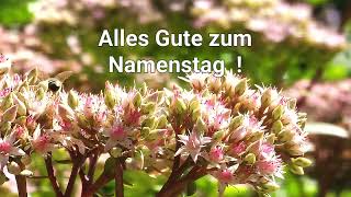 Alles Gute zum Namenstag [upl. by Ahsaela]