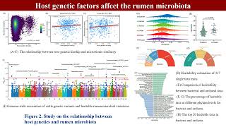 iMeta  Genome and transcriptome to uncover the host–microbiome interactions in rumen methanogenesis [upl. by Raval591]