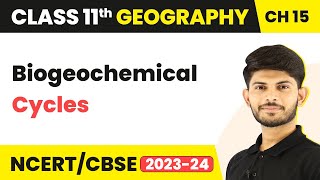 Class 11 Geography Chapter 15  Biogeochemical Cycles  Life On The Earth [upl. by Adnaluy620]