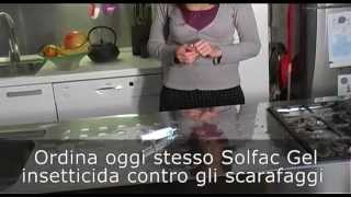 Sidam presenta Solfac Gel contro gli scarafaggi [upl. by Cicily]