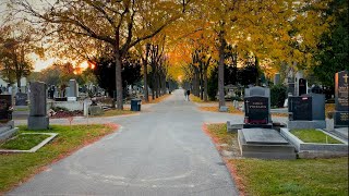 Vienna Walking Tour in Vienna Central Cemetery Wiener Zentralfriedhof Austria  4K HDR  ASMR [upl. by Nylatsirhc]