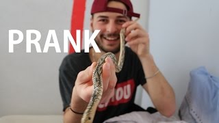 GJARPËRI PRANK MAMIT EDHE BABIT  180317 VLOG17 [upl. by Christan588]