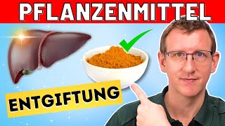 Leberentgiftung  die 3 besten Pflanzenheilmittel [upl. by Anuala]