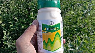 Acerbo fungicide Bayer  Fluopyram 2137  Trifloxystrobin 2137 SC [upl. by Beesley]