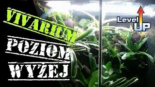 VIVARIUM na wyższym poziomie [upl. by Ezmeralda]