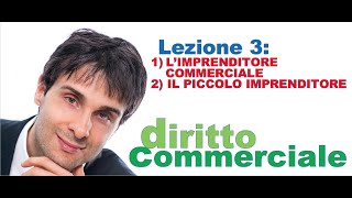 Diritto Commerciale Video Lezione n3 Limprenditore commerciale il piccolo imprenditore [upl. by Dunlavy841]