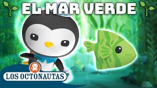 Los Octonautas  El mar verde  Recopilación  Episodios Completos [upl. by Anaer]