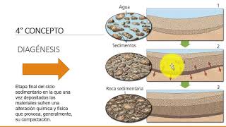 Procesos Sedimentarios [upl. by Naillij25]