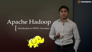 Hadoop Tutorial Intro to HDFS [upl. by Blen881]