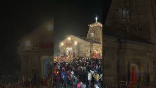 Kedarnath darshan 🙏🙏🙏🙏 [upl. by Sontag]