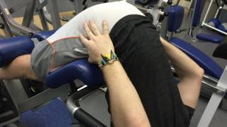 Hyperextension Glute Focus [upl. by Halehs]