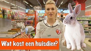 Wat kost een huisdier  DierenpraatTV [upl. by Eirlav]