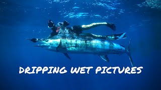 Spearfishing MARLIN amp BLUEFIN TUNA  Australia [upl. by Onaicilef]