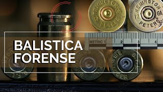 Balística Forense  ¿que es y como se divide [upl. by Zeuqcaj]