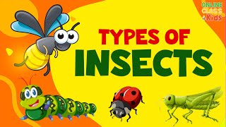 Names of Insects  Types of Insects for Kids  Various Bugs and Insects  Science Educational Video [upl. by Tija]