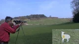 Shooting Sticks Review [upl. by Ava]