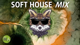 Peak Focus Soft House Study Music with Beta Isochronic Tones  Fox Mix [upl. by Oicam]