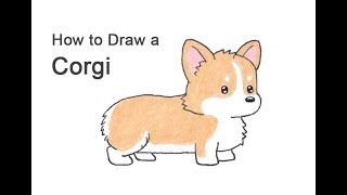 How to Draw a Corgi Cartoon [upl. by Aiekram]