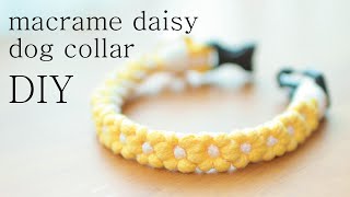 DIY 마크라메 강아지 목줄 만들기 Ι macrame daisy dog collar [upl. by Tarttan]