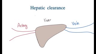 Hepatic clearance Concept and Advanced Calculation  Drug Dynamic [upl. by Tirrag]