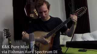 Mic tests Oakbridge bouzouki with KampK and Fishman AURA DI [upl. by Nancee766]