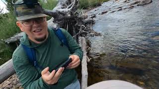 North Uintas Dry Fly Action [upl. by Robins]