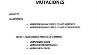 Biología  Mutaciones Concepto y clasificación [upl. by Carberry]