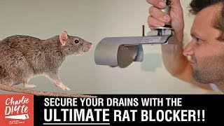 How to Install the ULTIMATE Drain Rat Blocker [upl. by Dyna406]