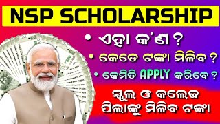 NSP Scholarship 202425 Apply  National Scholarship Portal 202425  NSP Scholarship Amount Details [upl. by Puritan125]