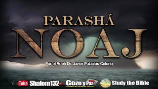 🔴 PARASHÁ NOAJ por el Roeh Dr Javier Palacios Celorio  Kehila Gozo y Paz [upl. by Hendrick]