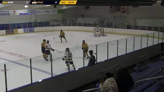 University of Toledo Hockey Gold vs White Game 982024 [upl. by Haleeuqa]