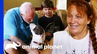 Family Makes A Tough Decision About Adopting A Dog  Pit Bulls amp Parolees [upl. by Kosaka]