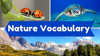 Learn Nature Vocabulary in English  Educational Video about Nature  Nature Words and Sentences [upl. by Yrrah]