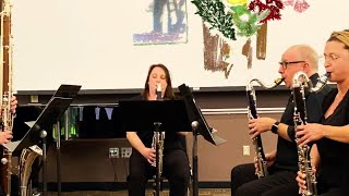 Contrabass amp Bass Clarinet Quintet  mvt II quotSugar Flowquot composer  Cornelius Boots  live premiere [upl. by Eiznek845]