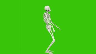 Green screen skeleton dance [upl. by Abihsot87]