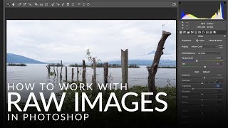 How to Work with RAW Images in Photoshop [upl. by Aninad139]