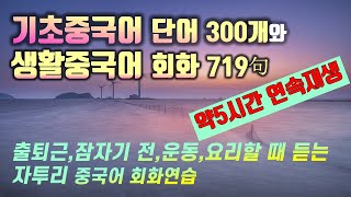 필수 기초중국어 단어와 생활중국어 회화 모음편 5시간 연속재생이 영상으로 hsk 중국어 기초단어 정리하세요【hsk12급단어 300개 모음편】 [upl. by Birgitta]