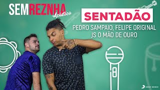 Sentadão Pedro Sampaio Felipe Original JS o Mão de Ouro  Sem Reznha Acústico Cover [upl. by Caffrey]