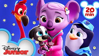 Calling All TOTS 🐧 Compilation  TOTS  Disney Junior [upl. by Siram69]