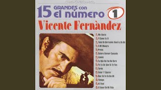 VICENTE FERNANDEZ  15 ÉXITOS EN VIDEO [upl. by Neneek]