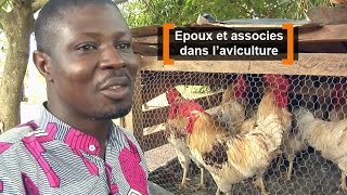 Côte dIvoire  Epoux et associés dans laviculture [upl. by Gabbi168]