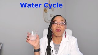 The Water Cycle How does water move throughout the Earth [upl. by Ajit397]