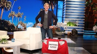 Ellen Presents New Emotional Support Luggage [upl. by Iamhaj239]