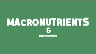 Nutrition Nutrients Classification Micronutrients amp Macronutrients Biochemistry Lecture [upl. by Auqemahs]