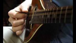 How to hold the mandolin and plectrum  by Ralf Leenen [upl. by Pascal]