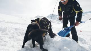 Le métier de pisteur à Serre Chevalier [upl. by Nahseez]