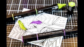 3in1 Budget Friendly amp Compact Alcohol Markers  TriBlend from Spectrum Noir Pens [upl. by Corder]