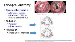 University of Kentucky Anesthesiology Pharmacology Keyword Review 2018 Part 1 of 3  Dr Schell [upl. by Llovera]