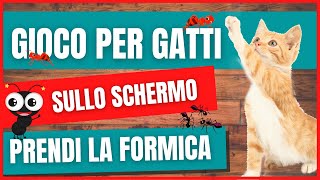 Gioco per gatti insetti  Giochi per gatti sullo schermo  Videogioco solo per gatti caccia [upl. by Jaynes]